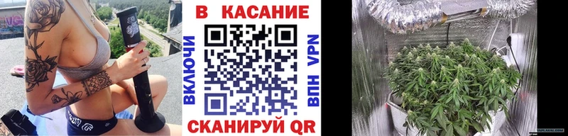 Гашиш Тосно