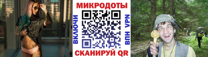 Галлюциногенные грибы мухоморы  Купить закладки  Тосно 
